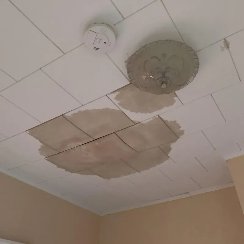 Ceiling Water Damage Repair in Croswell, MI