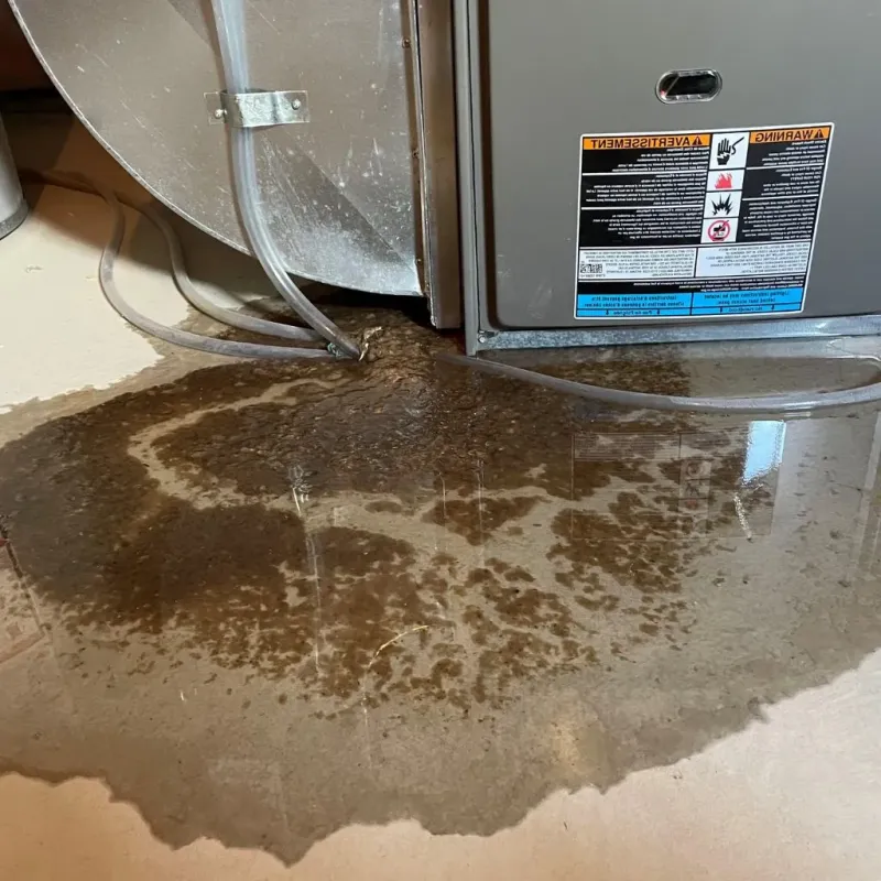 Pipe Burst and Leak Restoration in Croswell, MI