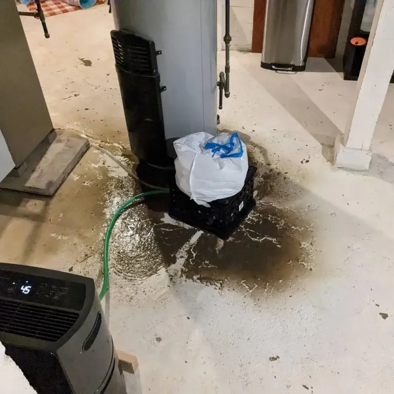 Sewage Backup Cleanup Service in Croswell, MI